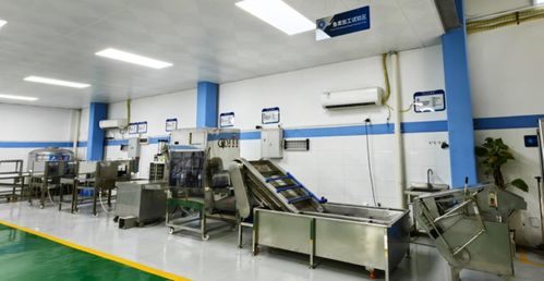 技術賦能，智造未來——廣東省農裝院引領水產養殖與加工新趨勢