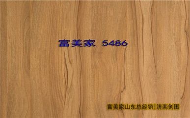 富美家 品質卓越的建筑裝飾材料供應商，引領家居美學新風尚